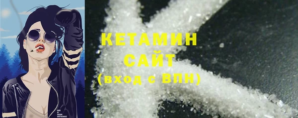 шишки Покачи
