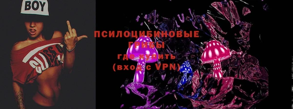 a pvp Алексин