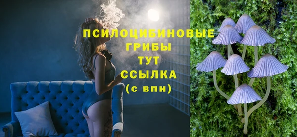 шишки Покачи