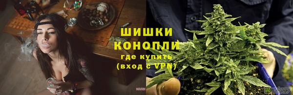 a pvp Алексин