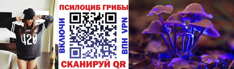 МЕГА ссылка  Лодейное Поле  Псилоцибиновые грибы Psilocybine cubensis 